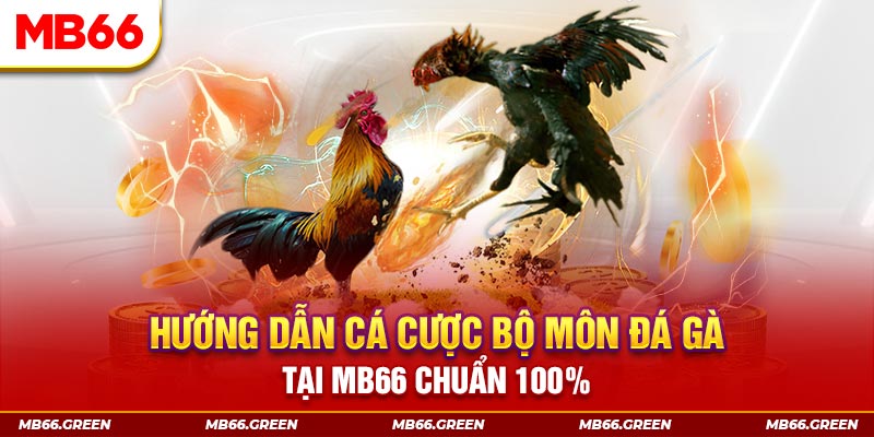 rwin chơi baccarat là gì