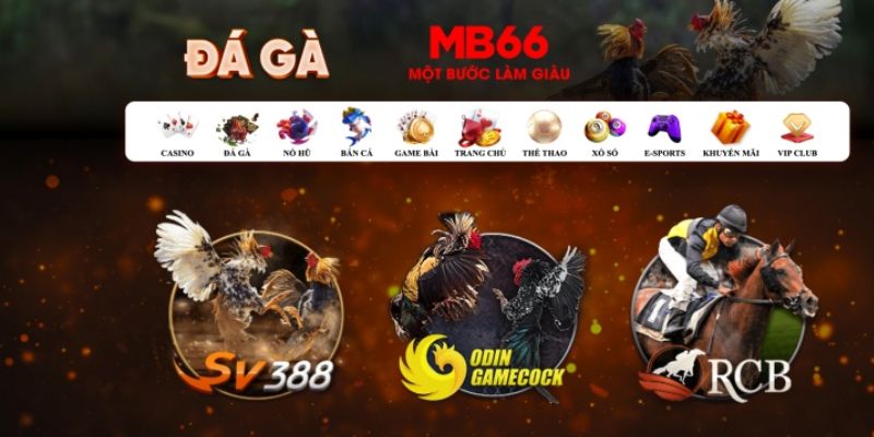rwin what is casino bonus wagering