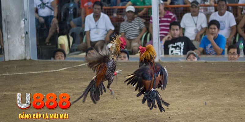 rwin đăng nhập mậu binh khuyến mãi