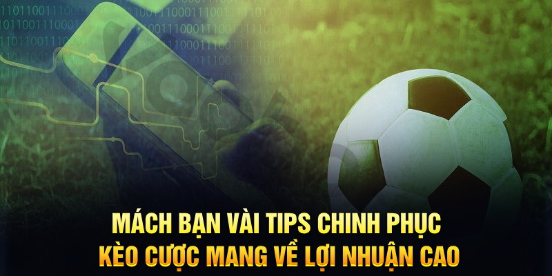 rwin đăng nhập phỏm hàng đầu