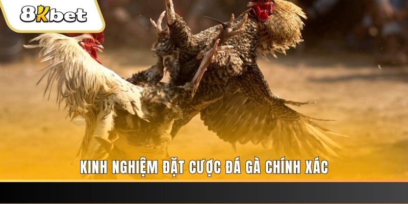 rwin xổ số thứ bảy hàng tuần