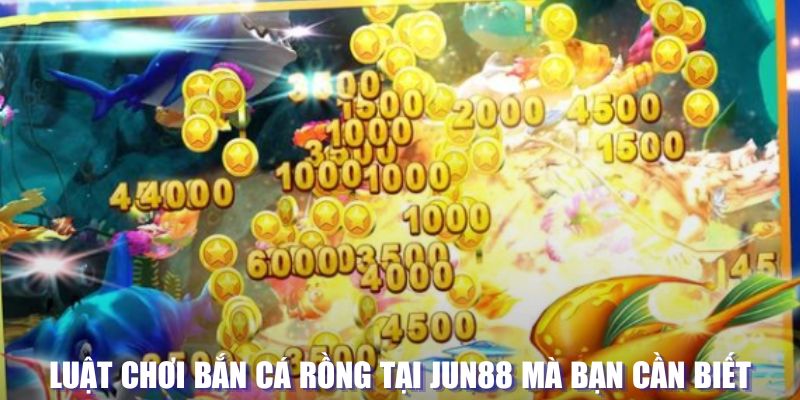 rwin xổ số đài hà nội