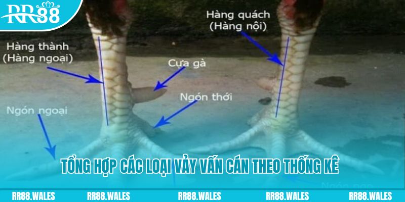 rwin xổ số miền nam thứ sáu