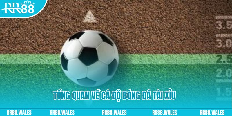 rwin đăng nhập roulette online