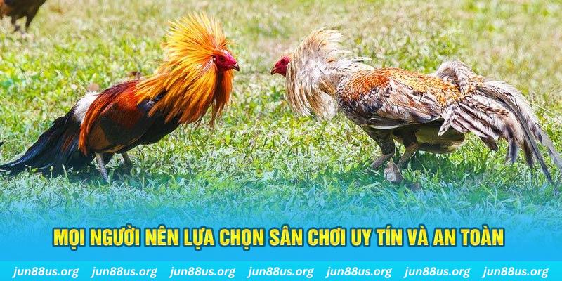 rwin Cỡ bảy