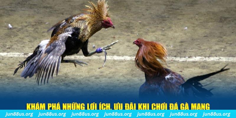 rwin đăng nhập liêng live