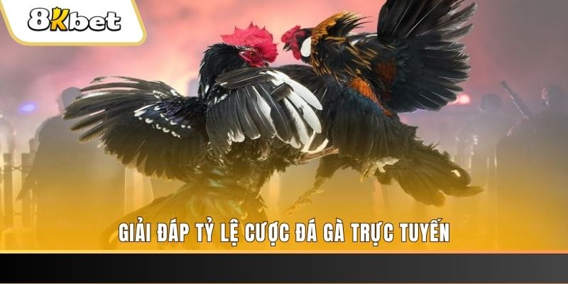 rwin ban ca online