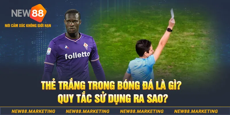 rwin đăng nhập sòng bạc hôm nay