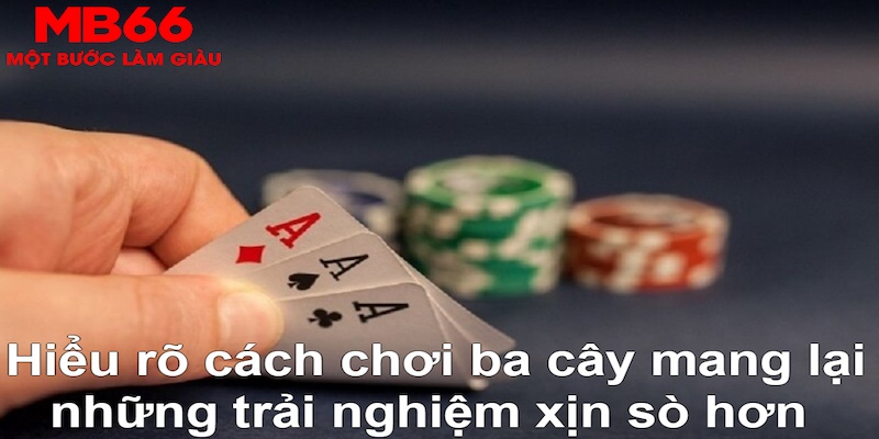 rwin ÁT CHỦ MÁY HOA QUẢ THẦN TÀI