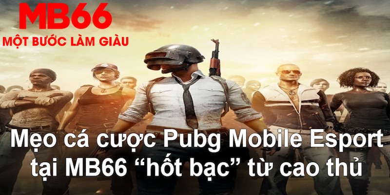 rwin đăng nhập poker hàng đầu