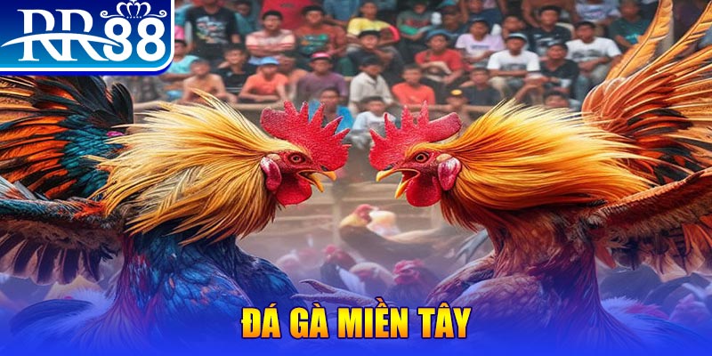 rwin người chia bài trong casino gọi là gì