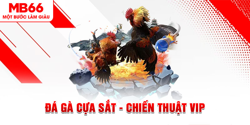 rwin ai tool nổ hũ