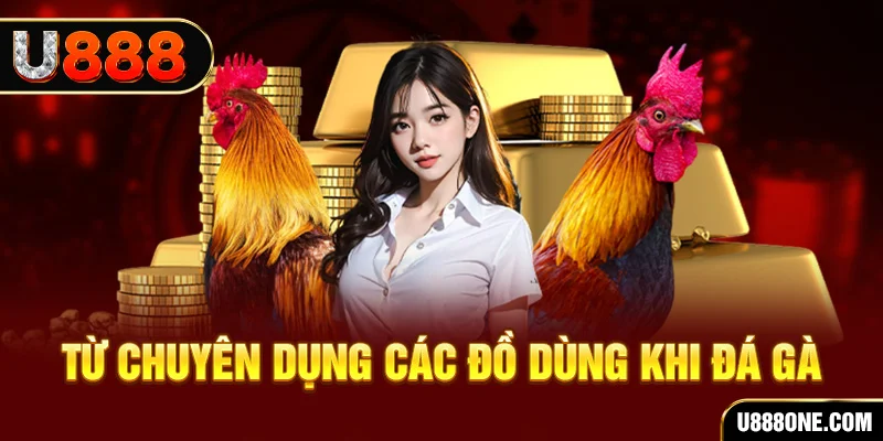 rwin đá gà trực tiếp campuchia